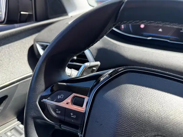 Peugeot 3008 view 11
