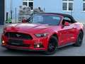 Ford Mustang Mustang 5,0 Ti-VCT V8 GT Cabrio GT Rot - thumbnail 1