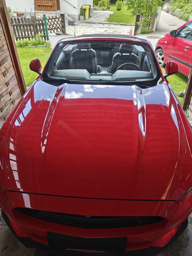 Ford Mustang Mustang 5,0 Ti-VCT V8 GT Cabrio GT Rot - 2