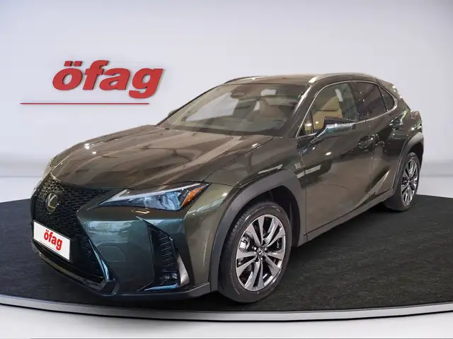 Lexus UX 300h F-Sport Design Aut. SHZ+KlimaA+LM+PDC