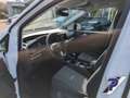 Ford Tourneo Connect Active 7-Sitzer NAVIGATION+INDUKTIVES LADEN+PANORA White - thumbnail 12