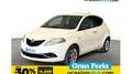 Lancia Ypsilon 1.2 evo II Gold Blanco - thumbnail 1