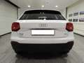 Audi Q2 AUDI Q2 1.6 TDI BUSINESS 116CV S-TRONIC (2017) Weiß - thumbnail 6