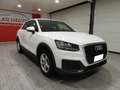 Audi Q2 AUDI Q2 1.6 TDI BUSINESS 116CV S-TRONIC (2017) Weiß - thumbnail 2