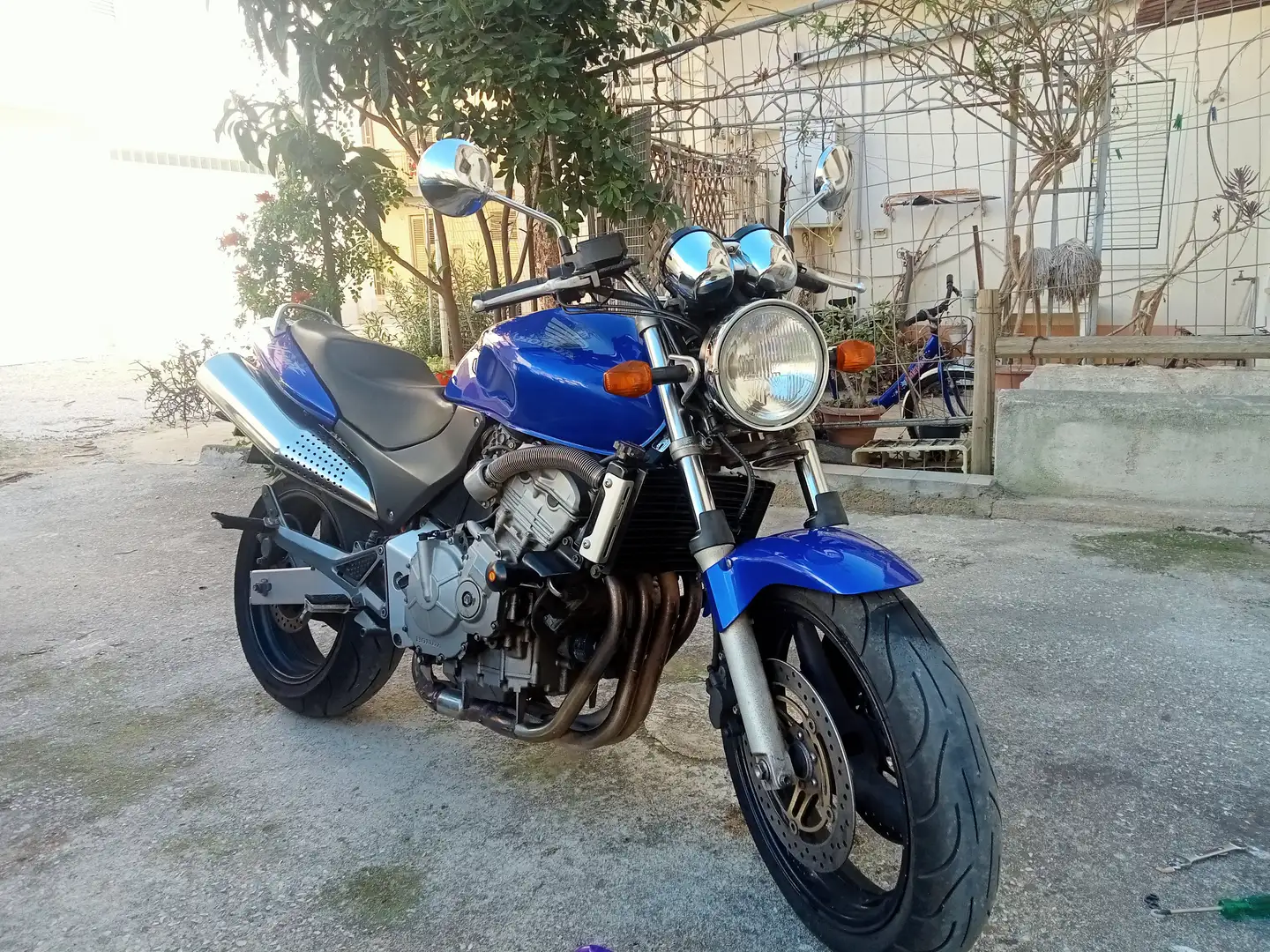 Honda Hornet Blu/Azzurro - 2