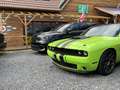 Dodge Charger R/T 5,7L V8 CarPlay Leder SHZ PDC Grün - thumbnail 29