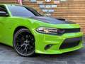 Dodge Charger R/T 5,7L V8 CarPlay Leder SHZ PDC Grün - thumbnail 3