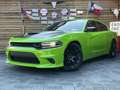Dodge Charger R/T 5,7L V8 CarPlay Leder SHZ PDC Grün - thumbnail 6