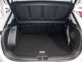 Hyundai KONA Kona EV 64,5 kWH Primi,Sitz-k,Leder,Assi-2.Schie Blanc - thumbnail 14