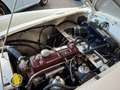 MG A 1600 MKII Blanc - thumbnail 33