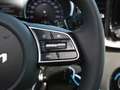 Kia Ceed / cee'd Ceed 1.0T Vision Navi Rückfahrkamera Lenkradhzg Grau - thumbnail 19