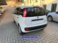 Fiat Panda PROMO FIN.1.0 HYBRID +PACK CITY KM 0 Bianco - thumbnail 9