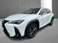 Lexus UX 250h F SPORT Design Blanc - thumbnail 26
