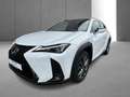 Lexus UX 250h F SPORT Design Blanc - thumbnail 25
