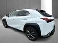 Lexus UX 250h F SPORT Design Blanc - thumbnail 6