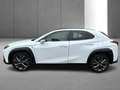 Lexus UX 250h F SPORT Design Blanc - thumbnail 3