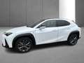Lexus UX 250h F SPORT Design Blanc - thumbnail 4