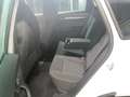 Skoda Karoq Sportline TSI DSG 4x4 *AHK*PANO*NAV*MATRIX Weiß - thumbnail 7