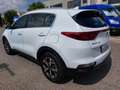 Kia Sportage 1.6 CRDI 136 CV DCT7 2WD Mild Hybrid Business Clas Bianco - thumbnail 5