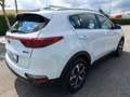 Kia Sportage 1.6 CRDI 136 CV DCT7 2WD Mild Hybrid Business Clas Bianco - thumbnail 4