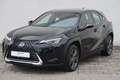 Lexus UX 300e Schwarz - thumbnail 8