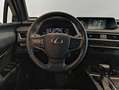 Lexus UX 250h BUSSINES 2WD + SENSORES Rojo - thumbnail 17