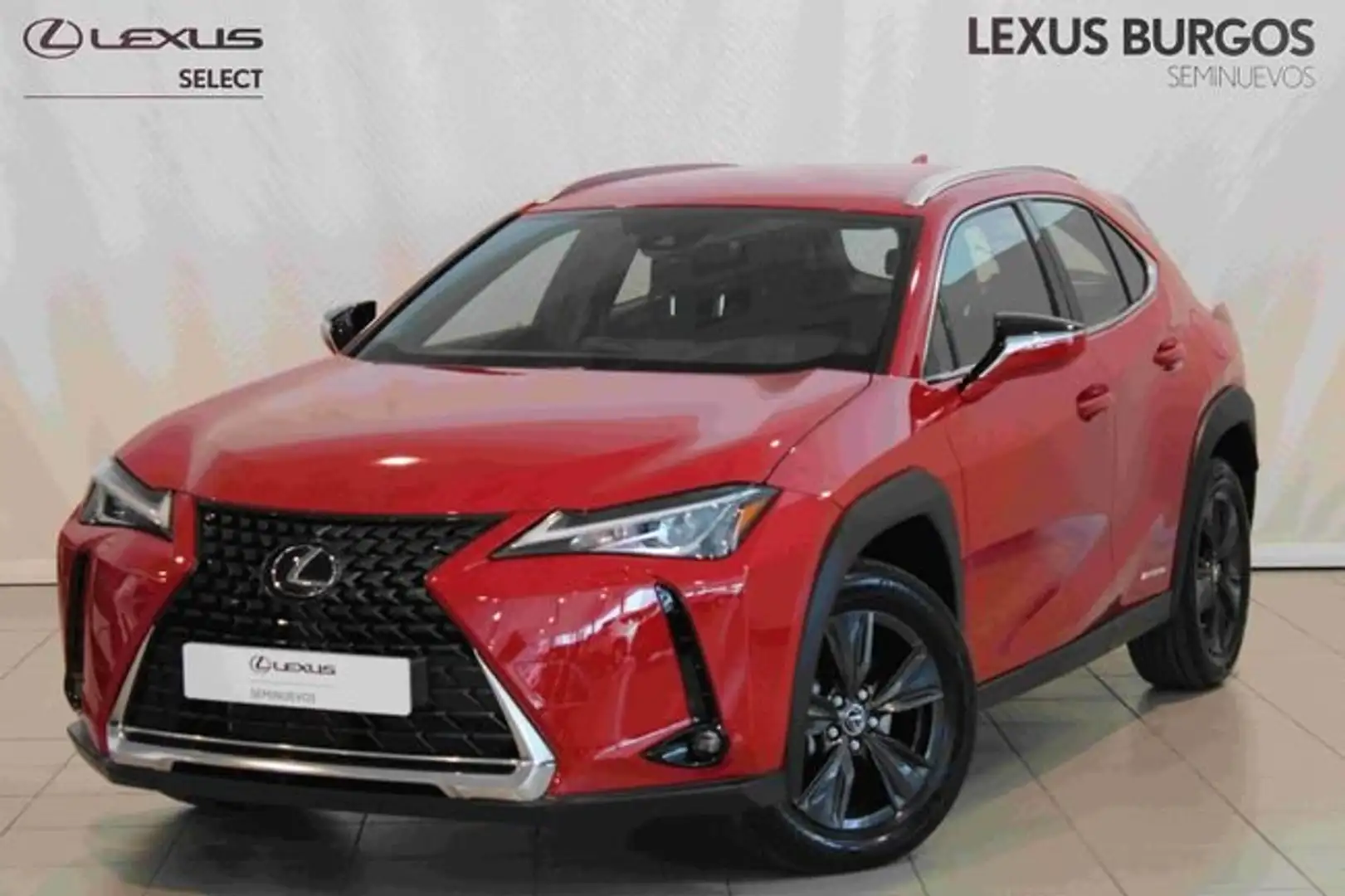 Lexus UX 250h BUSSINES 2WD + SENSORES Rojo - 1