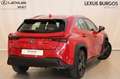 Lexus UX 250h BUSSINES 2WD + SENSORES Rojo - thumbnail 3