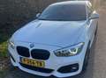 BMW 116 116 Edition MS.Ex. Alb - thumbnail 12