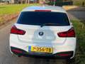 BMW 116 116 Edition MS.Ex. Alb - thumbnail 7