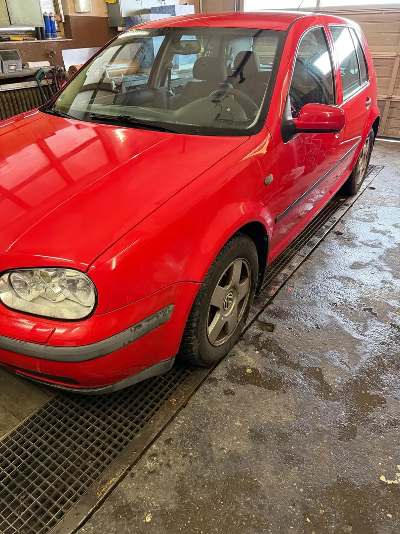 Volkswagen Golf Golf IV 1.6 Rot - 2