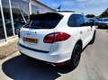 Porsche Cayenne 3.0D 240PK AUT PANO FULL! 2011 Wit - thumbnail 23