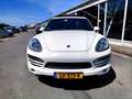 Porsche Cayenne 3.0D 240PK AUT PANO FULL! 2011 Wit - thumbnail 5
