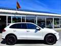 Porsche Cayenne 3.0D 240PK AUT PANO FULL! 2011 Wit - thumbnail 10