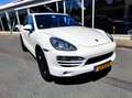 Porsche Cayenne 3.0D 240PK AUT PANO FULL! 2011 Wit - thumbnail 6