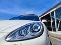 Porsche Cayenne 3.0D 240PK AUT PANO FULL! 2011 Wit - thumbnail 8