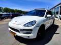 Porsche Cayenne 3.0D 240PK AUT PANO FULL! 2011 Wit - thumbnail 4