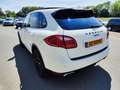 Porsche Cayenne 3.0D 240PK AUT PANO FULL! 2011 Wit - thumbnail 21