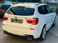 BMW X3 X3 xDrive30d F25 N57 Weiß - thumbnail 5