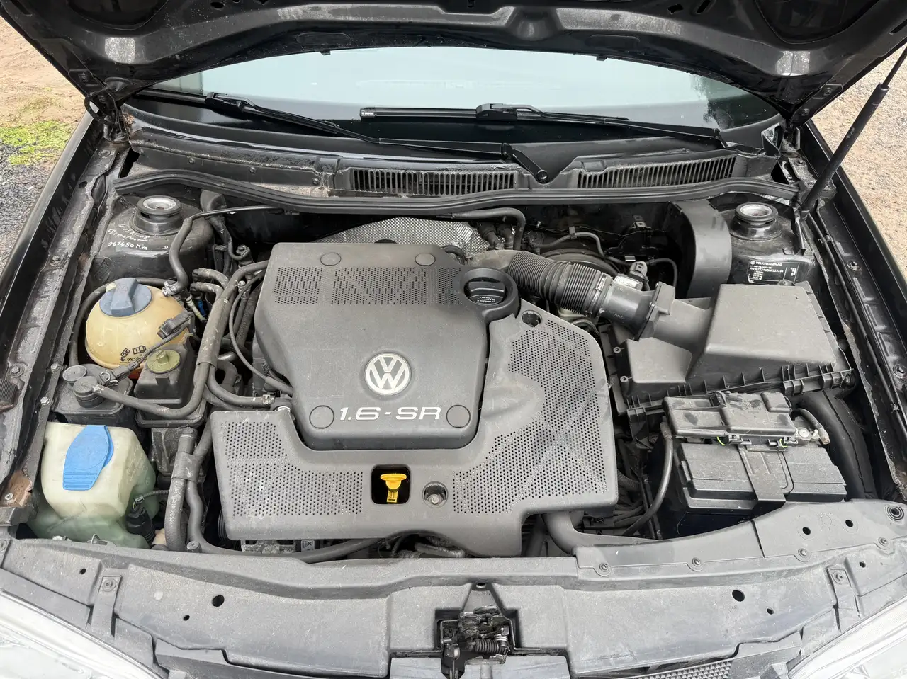 Volkswagen Golf IV (4) 1.6 Sr, foto 7