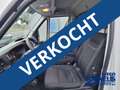 Iveco Egyéb 35C16 H 3.0A8P 3750 35C16H 3.0 A8P Koelauto luchtg Fehér - thumbnail 12