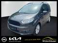 Ford Tourneo EcoBoost Titanium Klima LM Temp Schiebet. Grijs - thumbnail 1