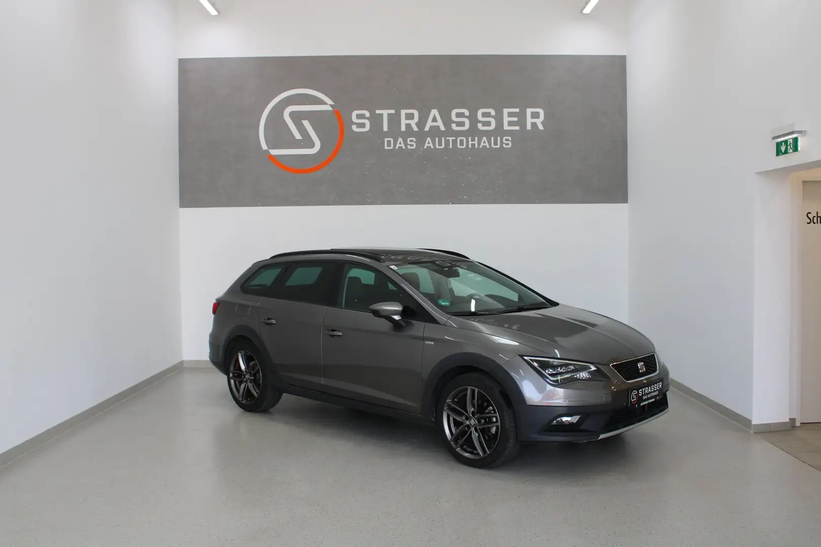 SEAT Leon XPerience 4Drive TDI CR St-St Grau - 1