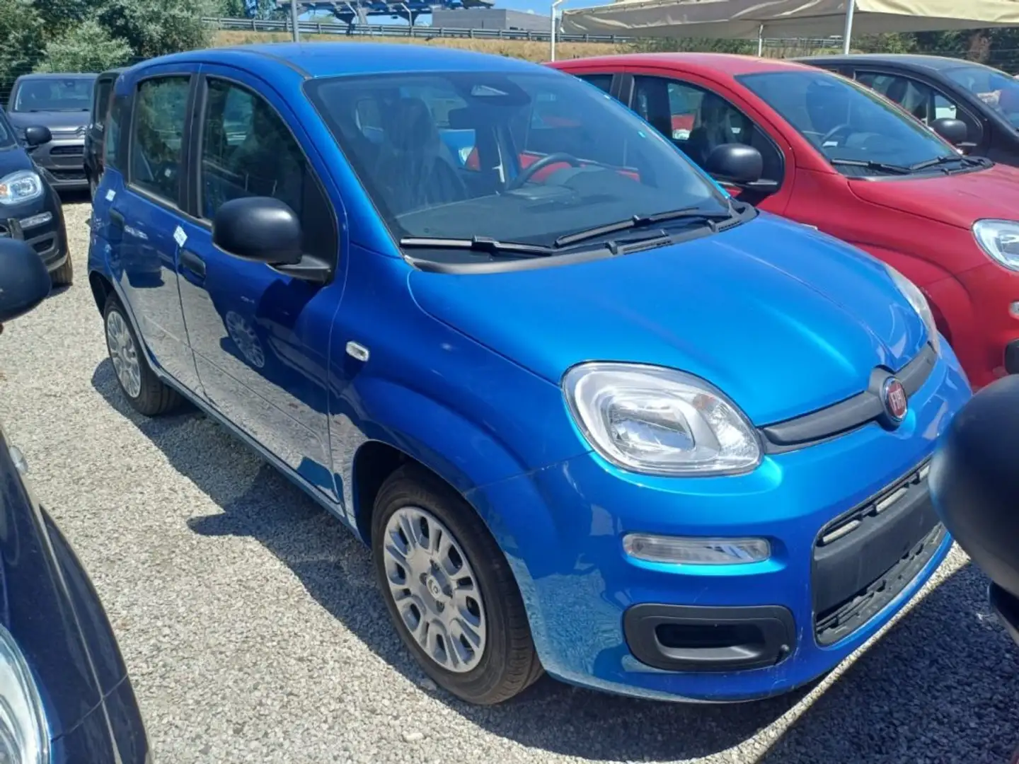 Fiat New Panda 1000 HYBRID 70 CV PDC ITALIA Blu/Azzurro - 1