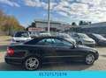 Mercedes-Benz CLK 55 AMG / Cabrio/Aut/Leder/Alu-AMG Nero - thumbnail 7