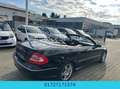 Mercedes-Benz CLK 55 AMG / Cabrio/Aut/Leder/Alu-AMG Nero - thumbnail 13