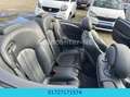 Mercedes-Benz CLK 55 AMG / Cabrio/Aut/Leder/Alu-AMG Nero - thumbnail 11