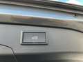 Volkswagen Passat Variant Business TDI DSG Grau - thumbnail 7