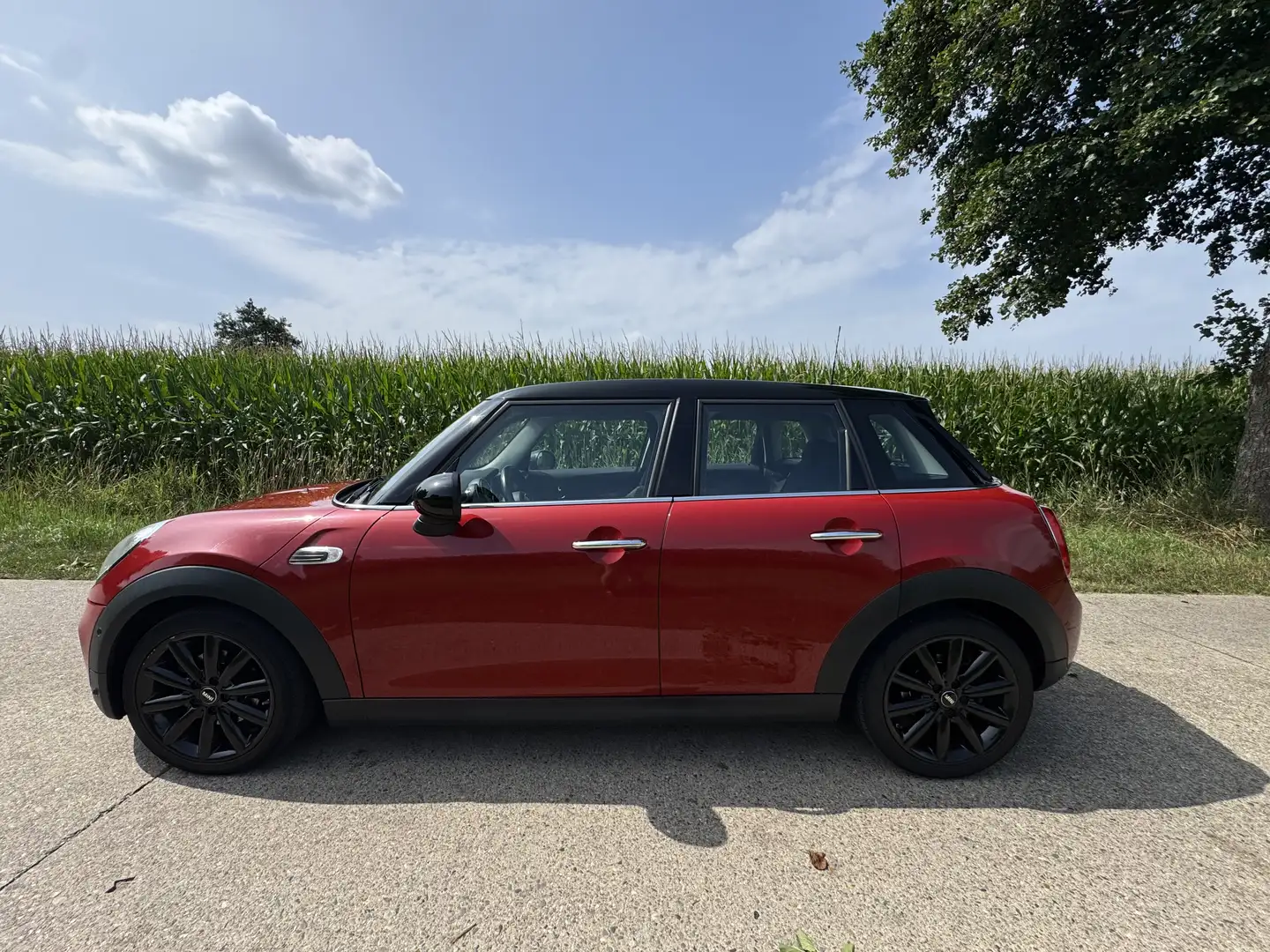 MINI Cooper D - 1