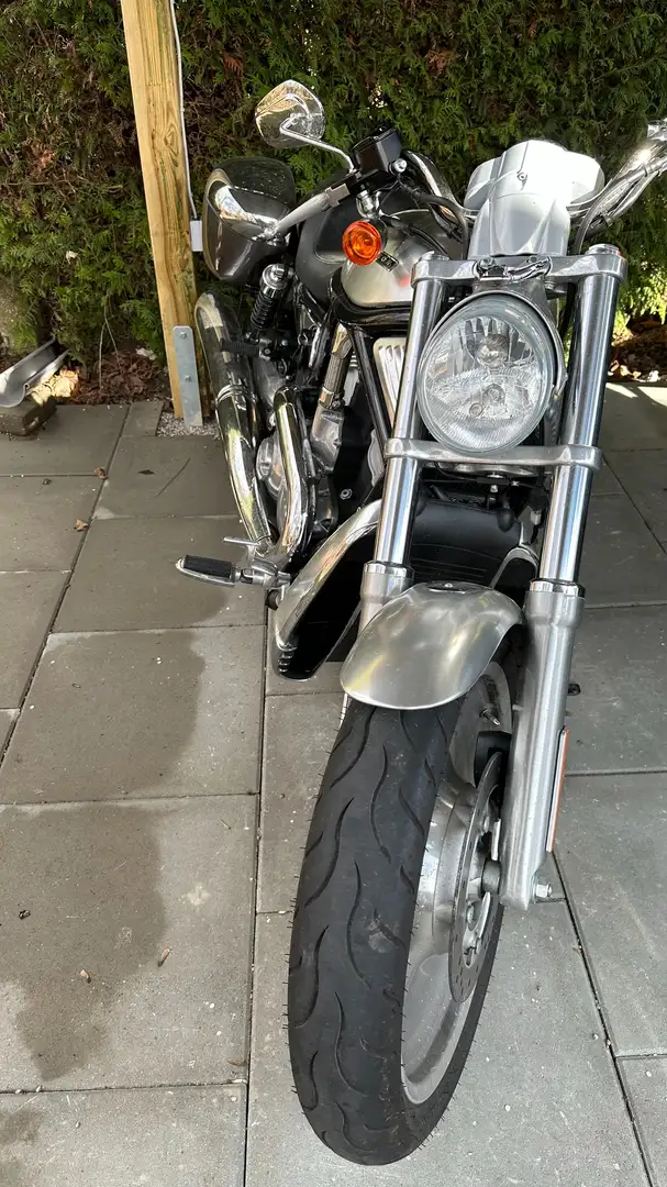 Harley-Davidson V-Rod VRSCA Argintiu - 2